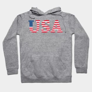 Vintage USA flag text Hoodie